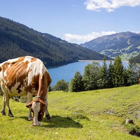 Haus Alpenfrieden